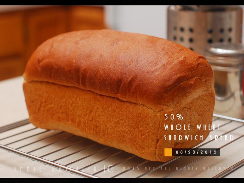 50%�촺��ȫ����˾������