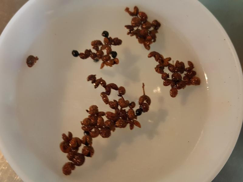 ����±�Ӳ���ɵ�����