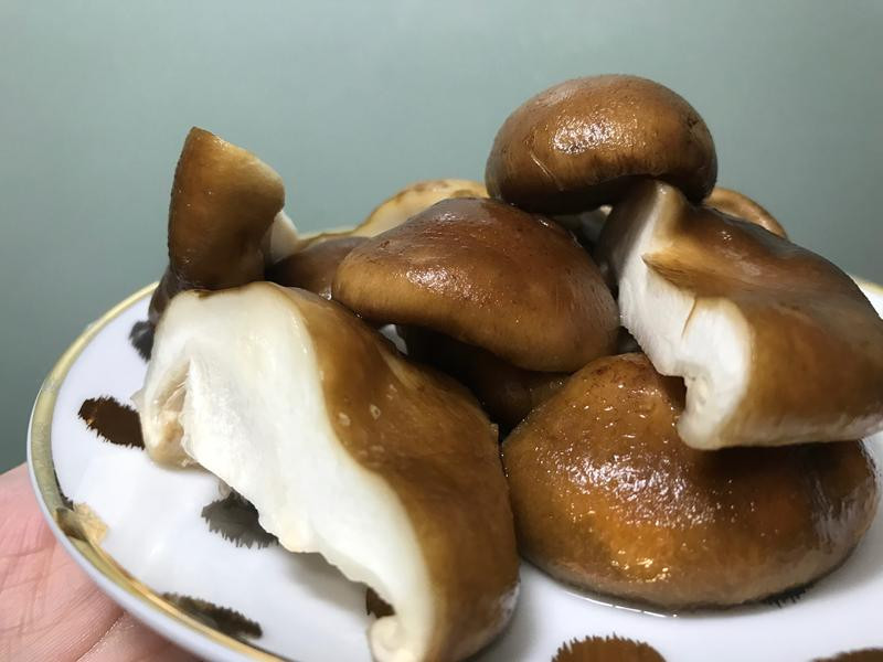 ��˿���㹽�����ϵ�����