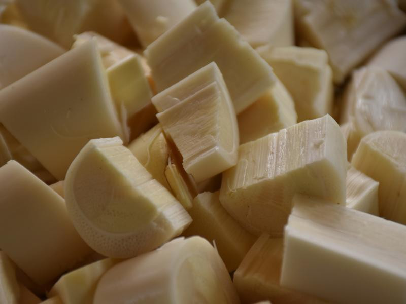 ��������ʳ��������