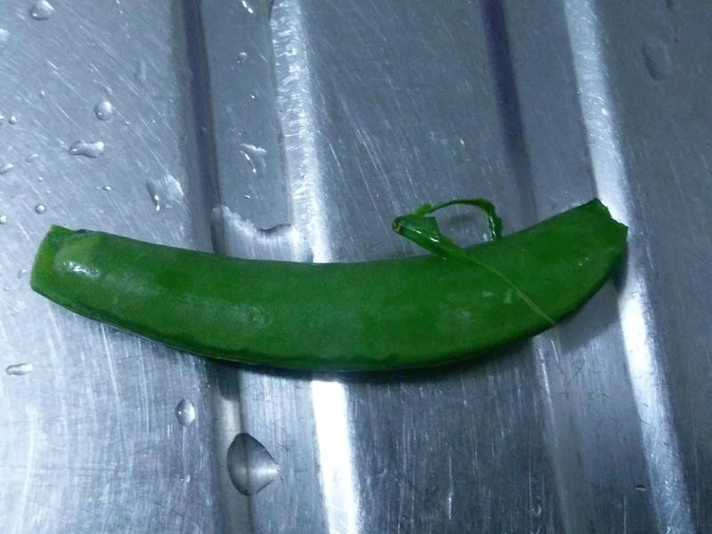 �𶹳������������