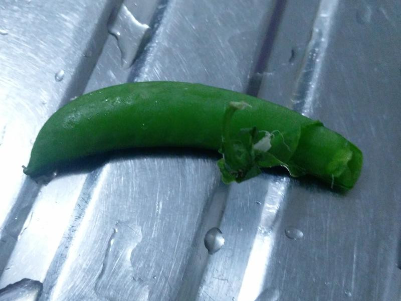 �𶹳������������