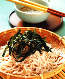 ��ʽ�������������