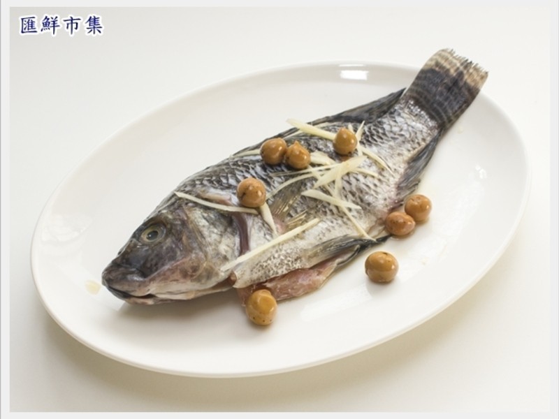 �������~��������̨����������