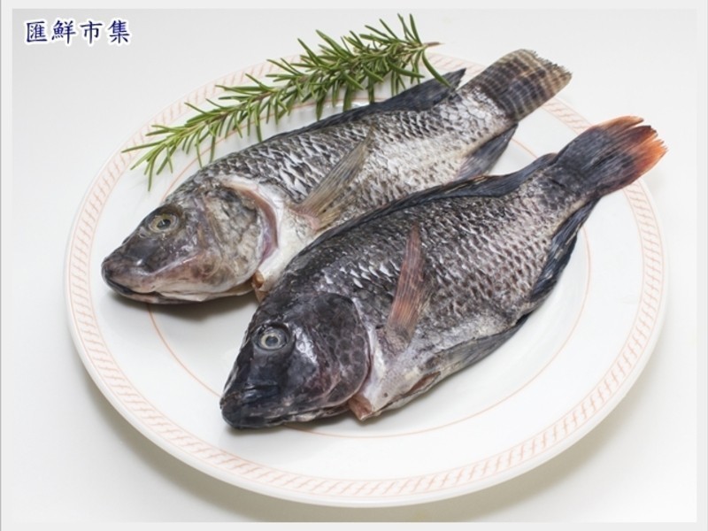 �������~��������̨����������