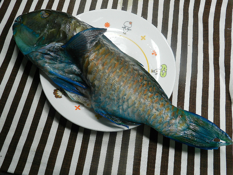 �и������������