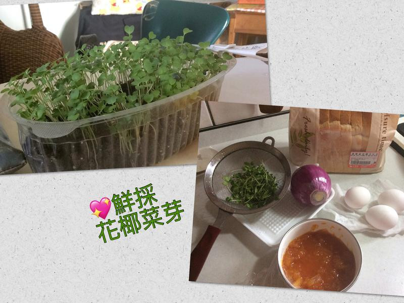 ��ʽѿ�����������ε�����