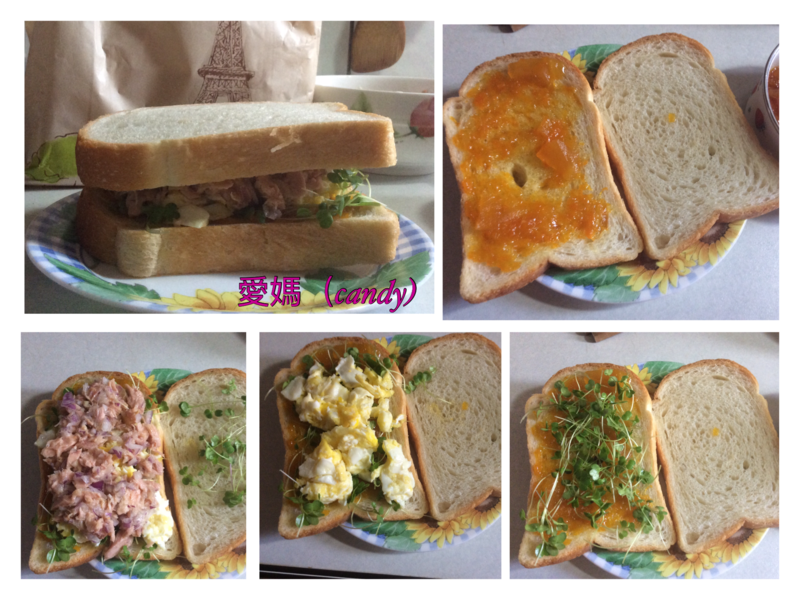 ��ʽѿ�����������ε�����