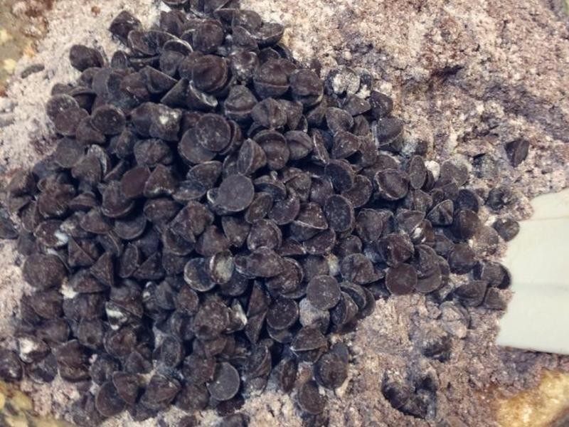 �㽶�ɿ������� (����ʪ��������ʮ��)������