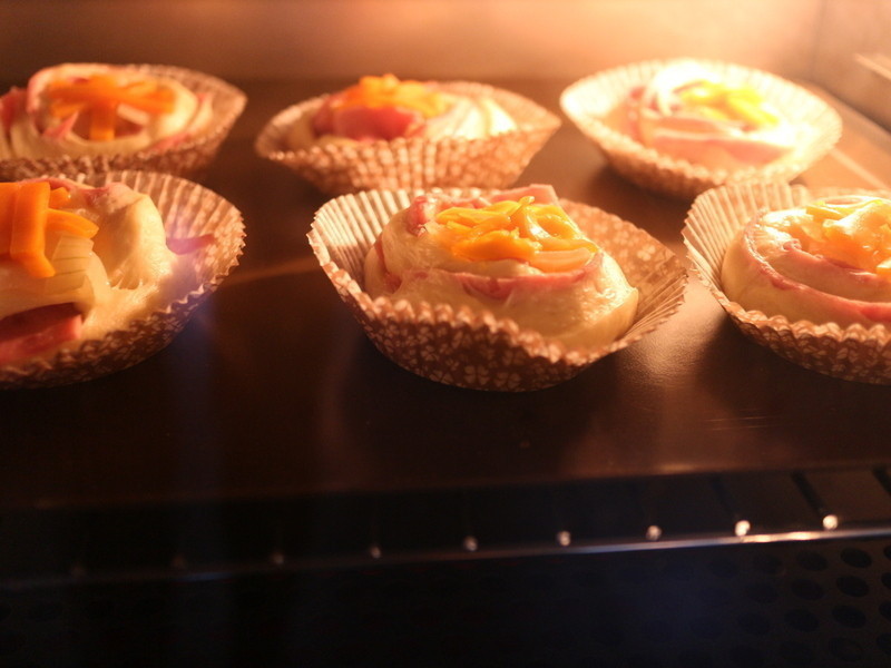 ��л�����˾���������