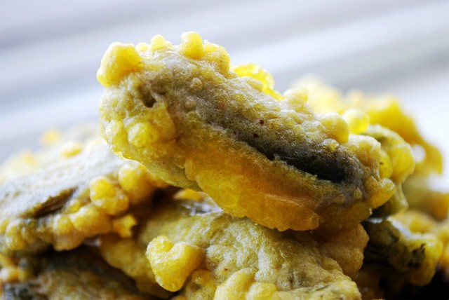 ����ѿ���������