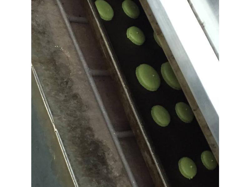 Macaron������-Ĩ�������