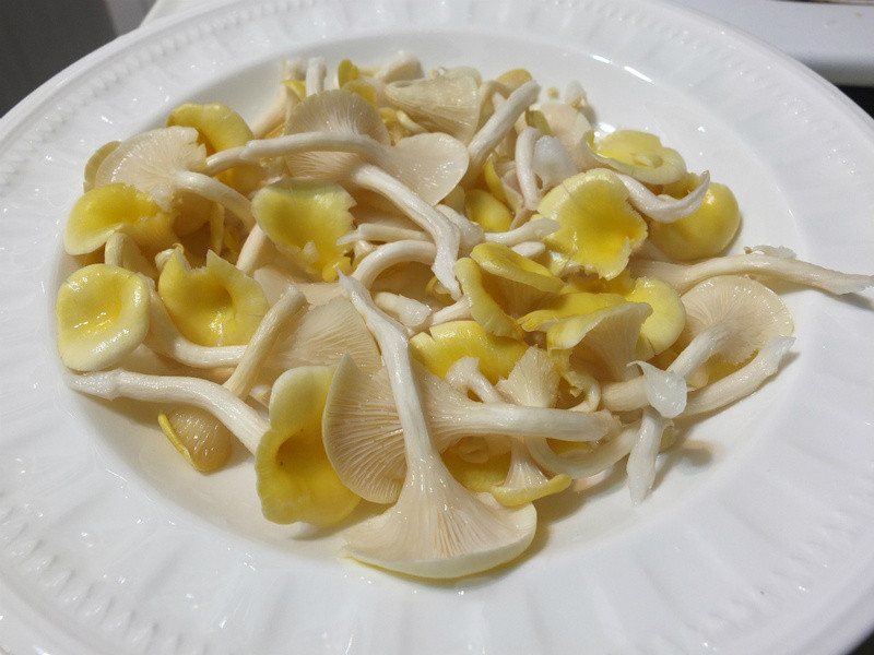 XO�����ƽ𹽵�����