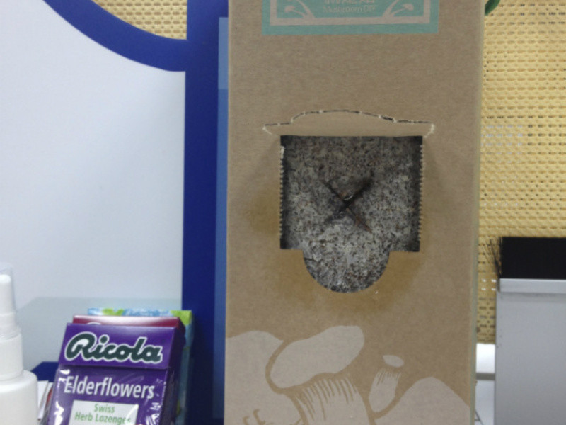 XO�����ƽ𹽵�����