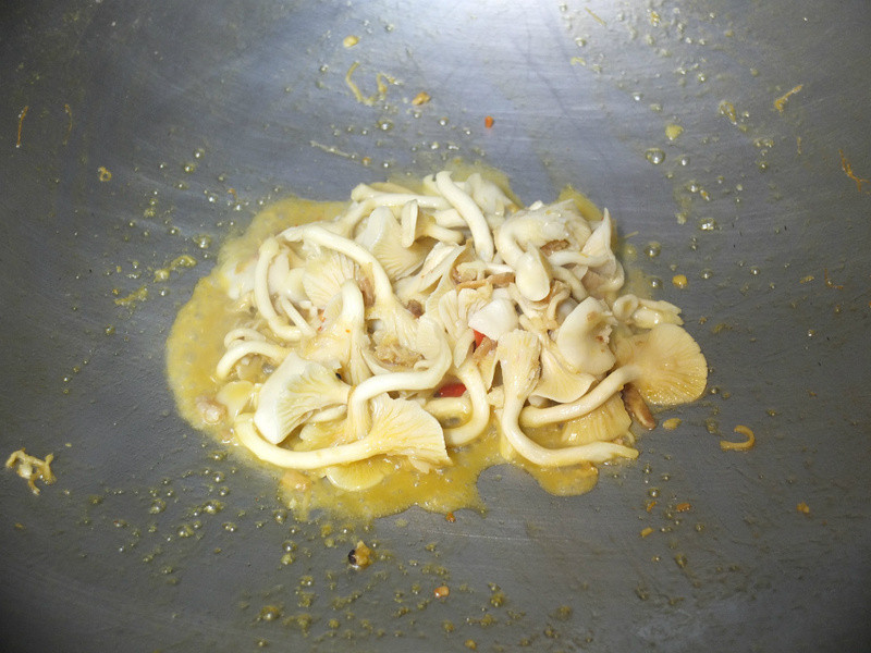 XO�����ƽ𹽵�����