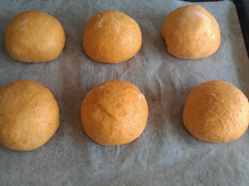 Ԫ�����~��ɫɳ��Ǳͧ��������