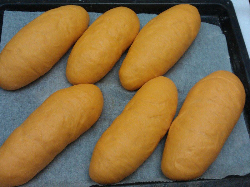 Ԫ�����~��ɫɳ��Ǳͧ��������