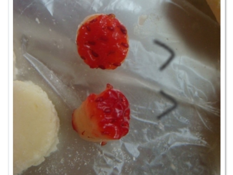 ݮݮ������������