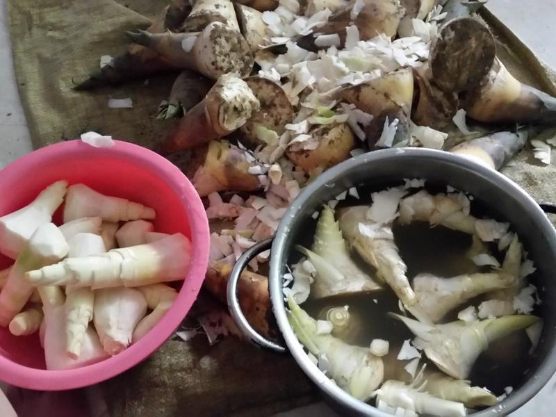 �����������������