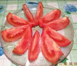 �ǰ�������������