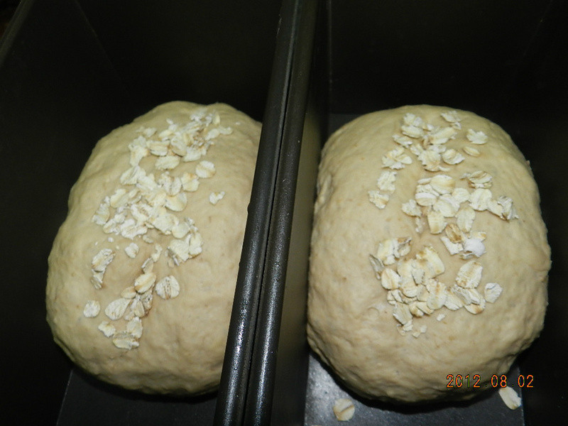 �����������������