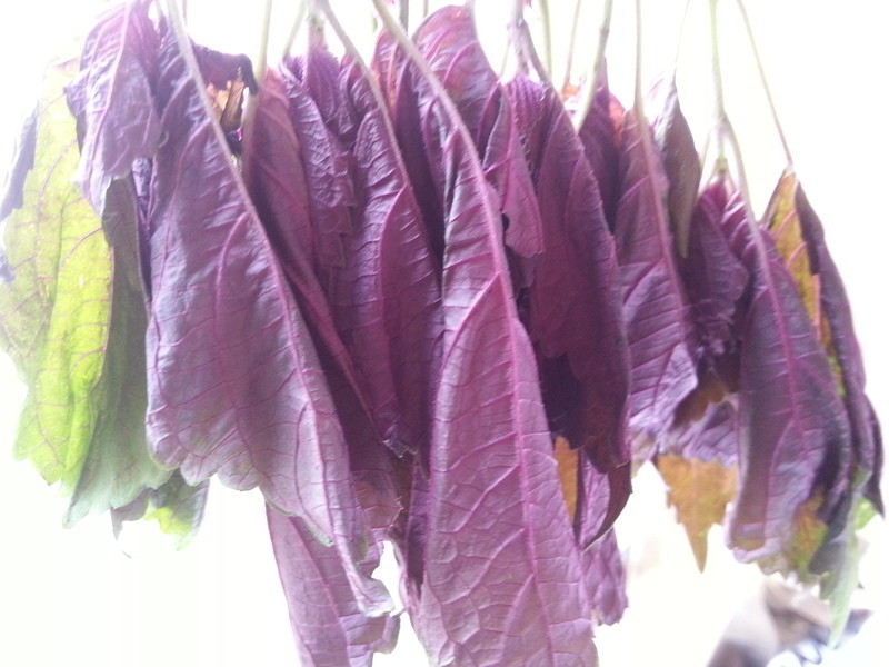 �ƽ���������������