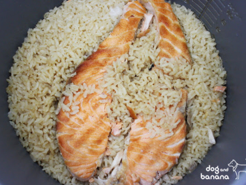 ��ʽ���㴶��������