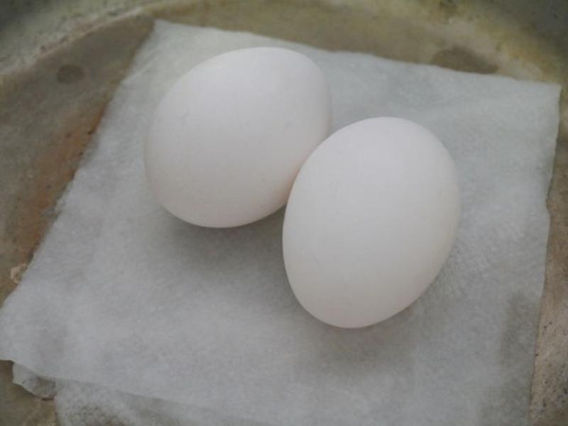 Ұ��������������