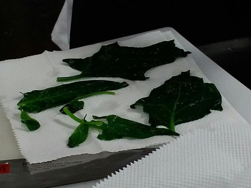 ���������������