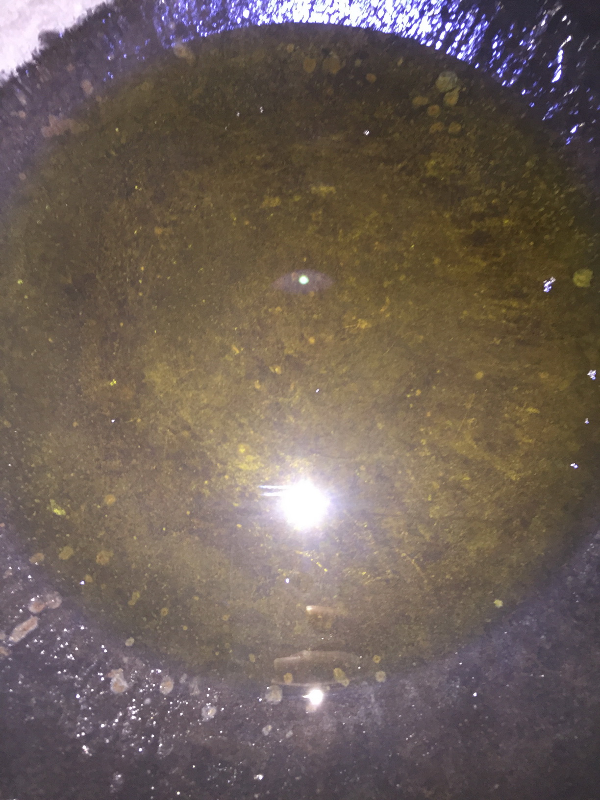 ��ζ����������