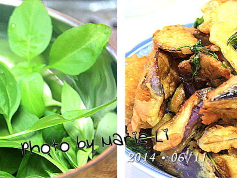 ��������������⽴ը���ӵ�����