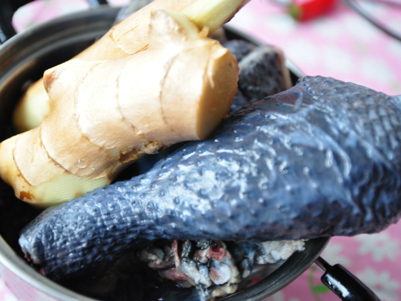 �Ͻ�ĸ�㹽�ڹǼ���������