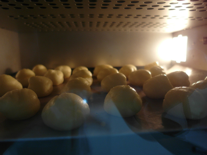 Licca����Ƥ������ܽ��������