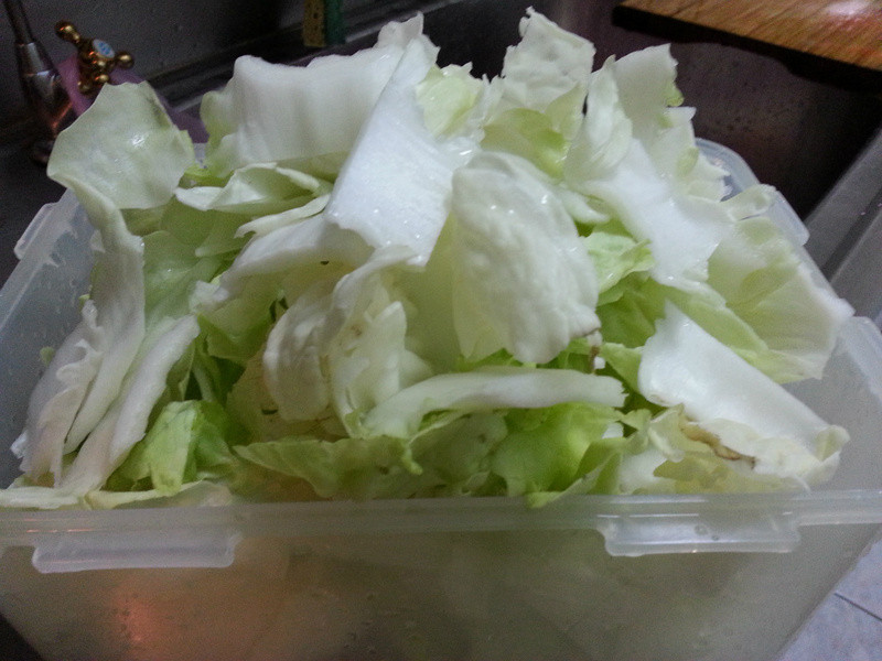 �����ưײ˵�����