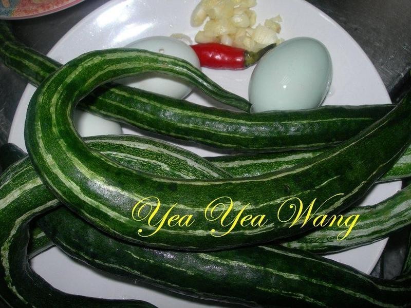 �̵��߹ϵ�����