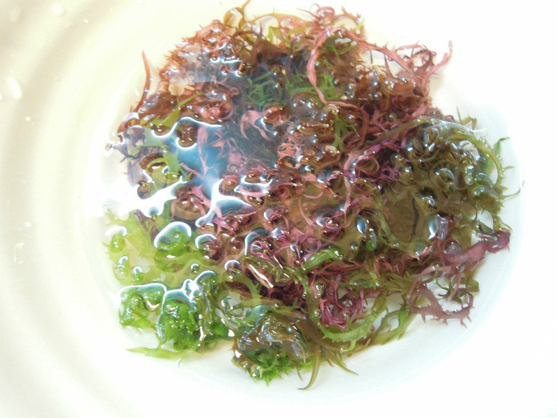 [����] ����ɳ�����ͷ罴������