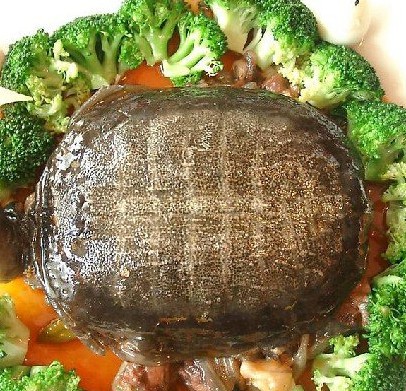 瓤甲鱼的做法的做法