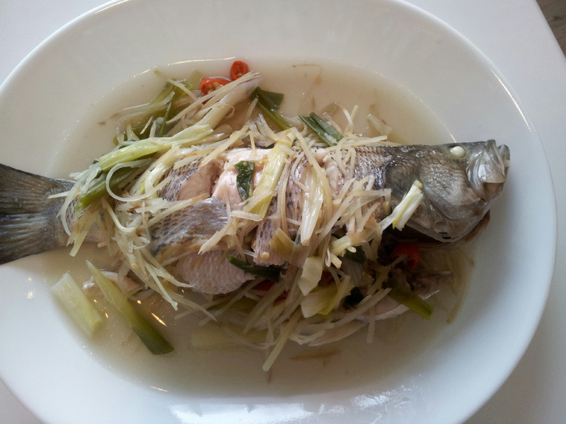 AMC�������~�������������