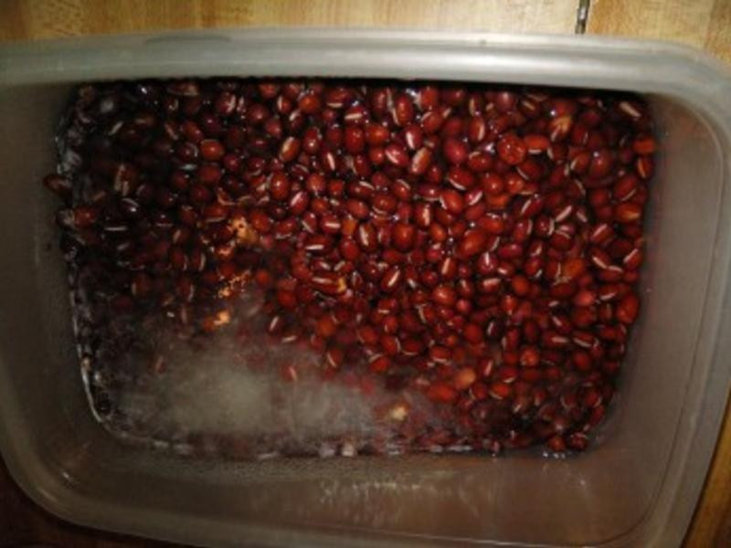 ��Ŵ�׺춹����¶������