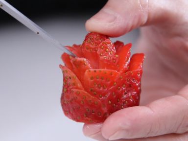 ��ݮ��Ĩ������������