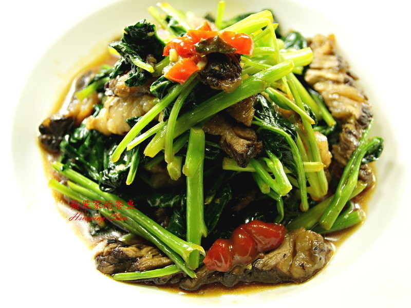 ����ţ�������