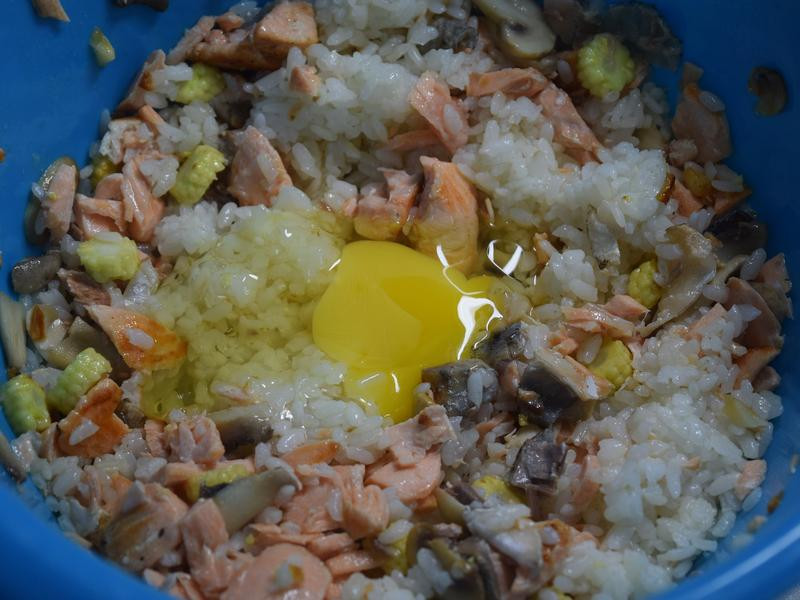 ����Ģ��������������