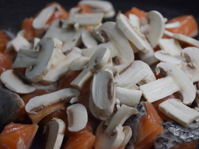 ����Ģ��������������