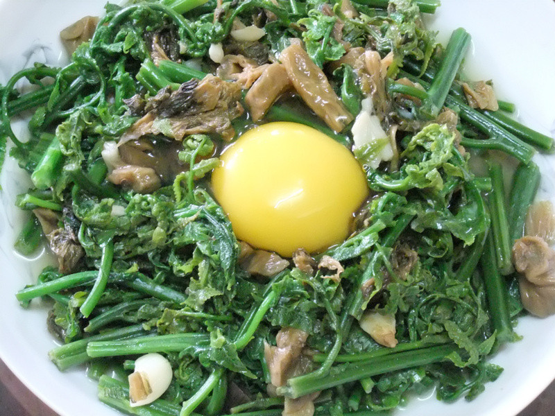 �¼����˹�è(ɽ��)������