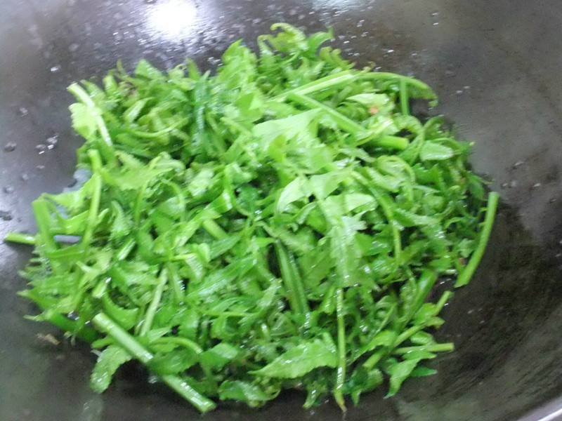 �¼����˹�è(ɽ��)������