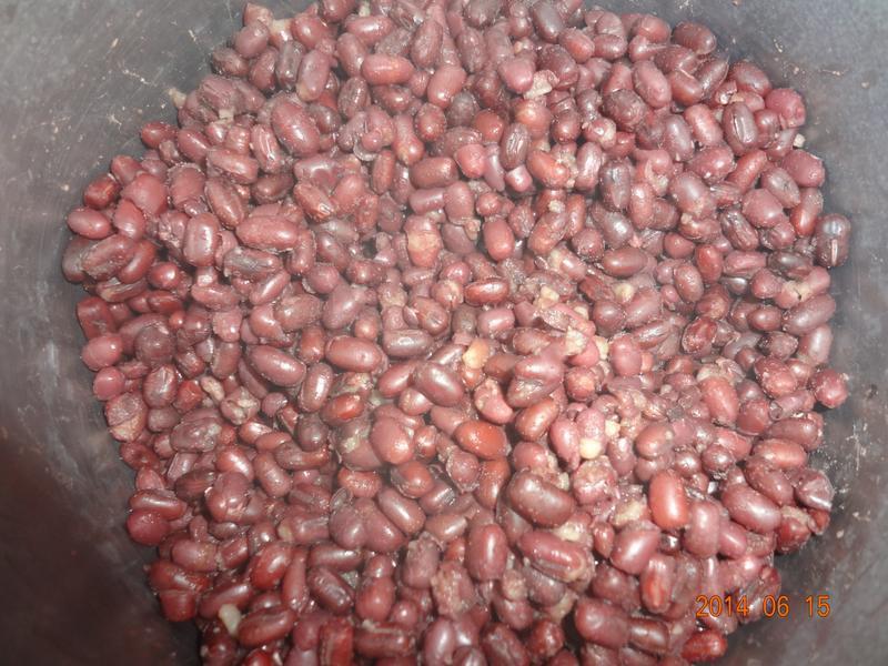 �������ĺ춹������������