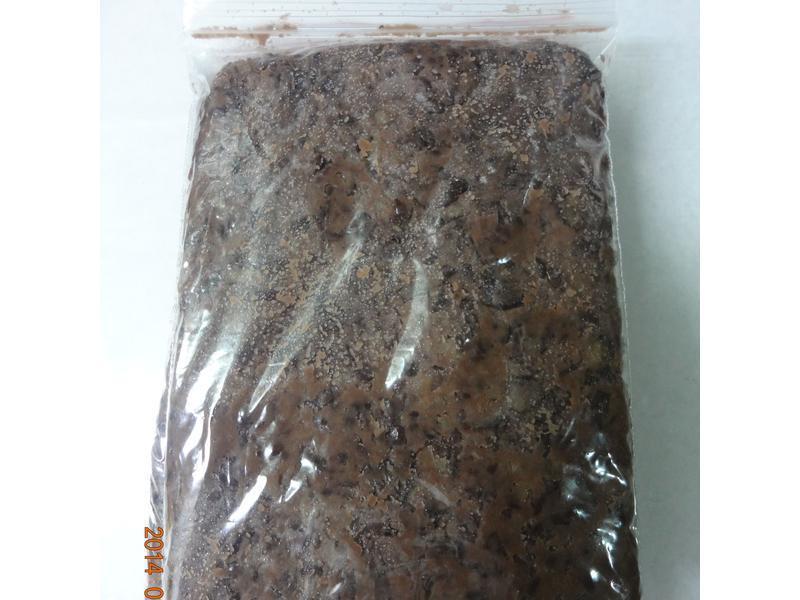 �������ĺ춹������������