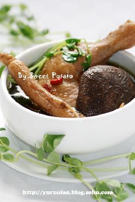 ��Ѫ�����Ҽ���������