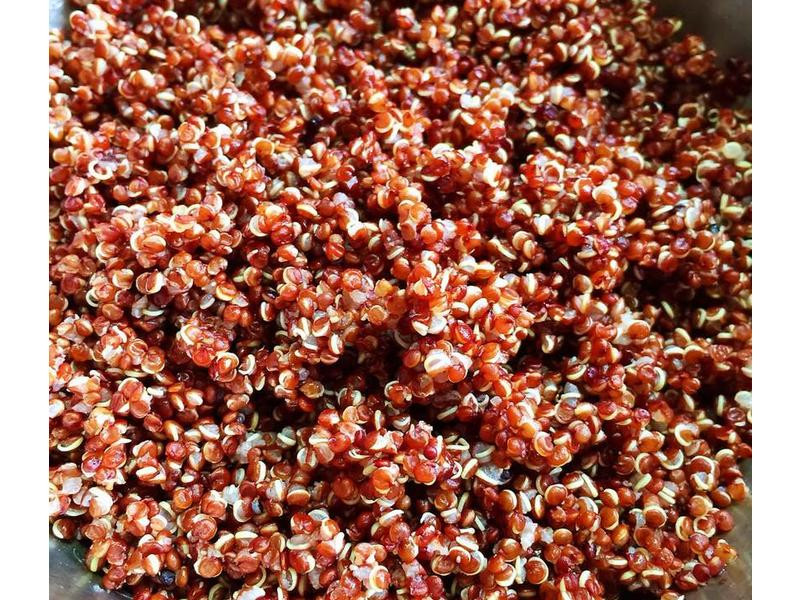 ��޼ɳ��������