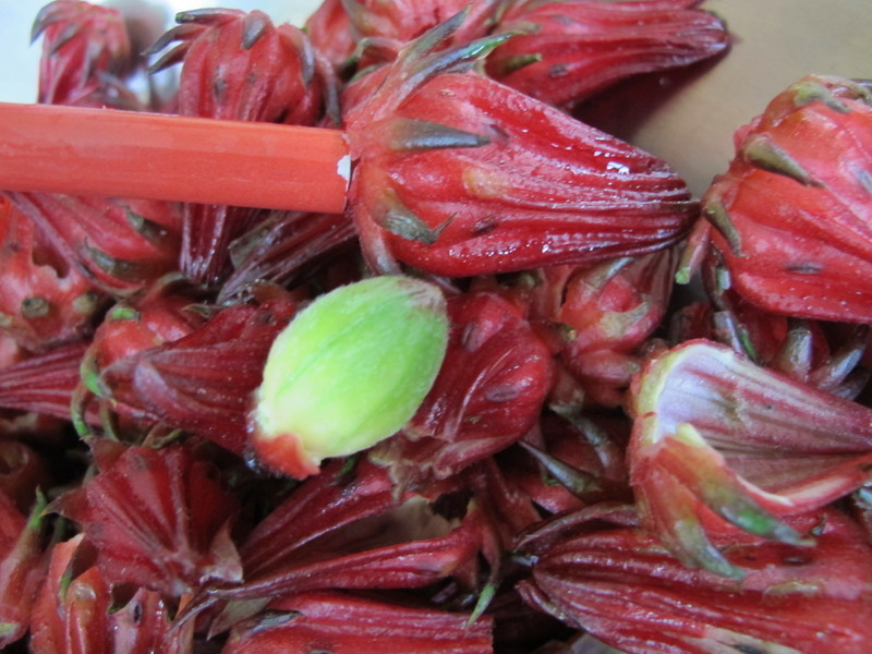 ������?�л����񻨹���(��Ʋ�i���!)������